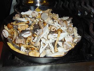 Mushroom Fricassee